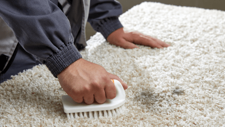 Professional Rug Cleaning Wattle Flat