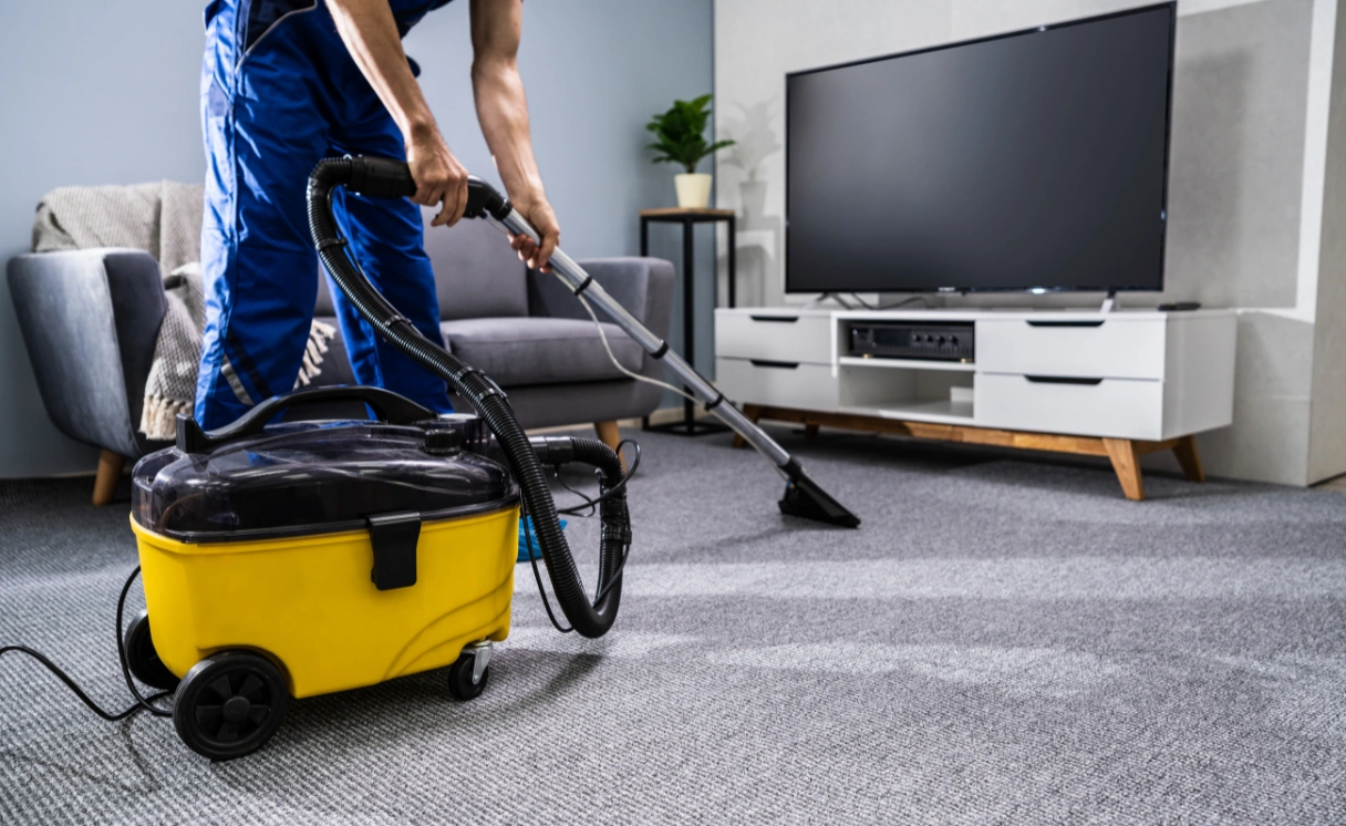 Extract Rug Cleaning Wattle Flat Contact Office